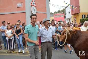 Misa, desfile del ganado y procesión religiosa en el Valle de los Nueve de Telde (Foto Francisco Javier Santana)